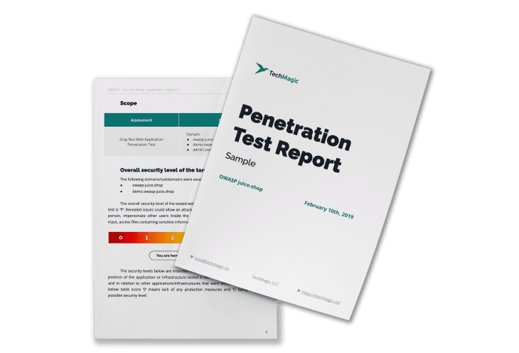 Get the pentest report sample